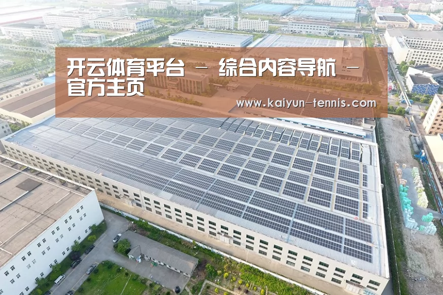 案例展示一