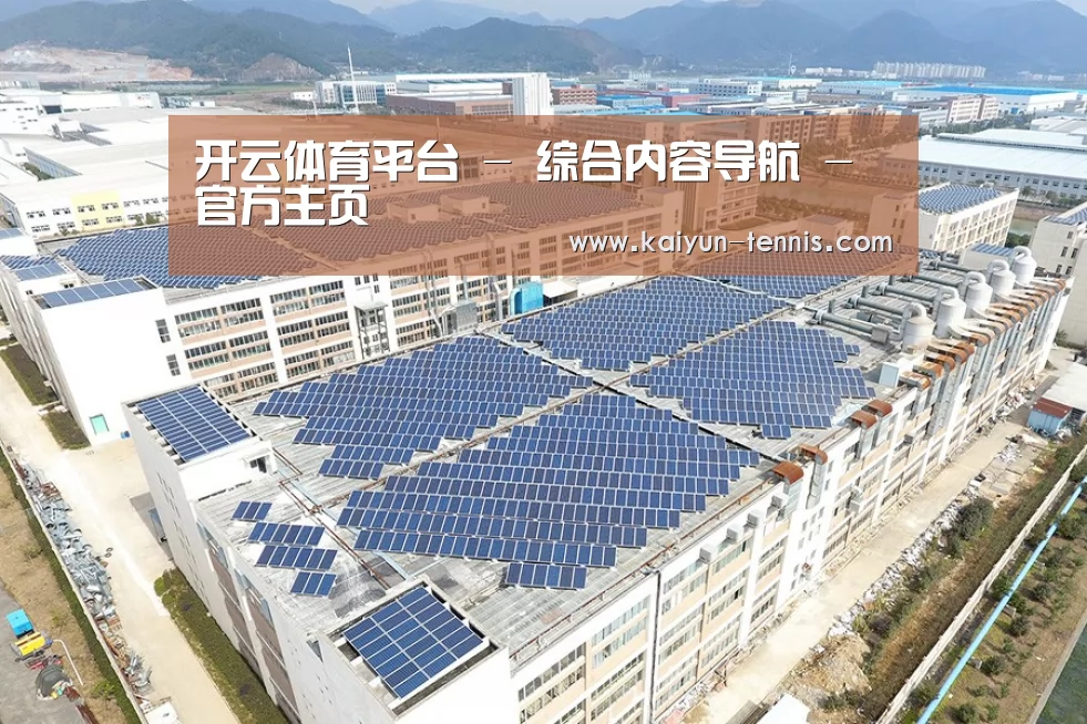 案例展示四