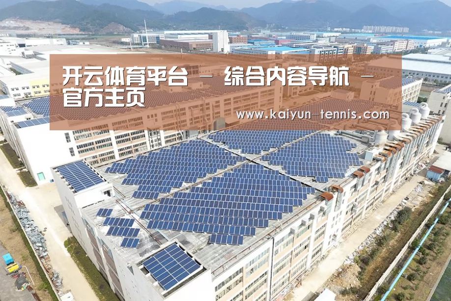 案例展示三