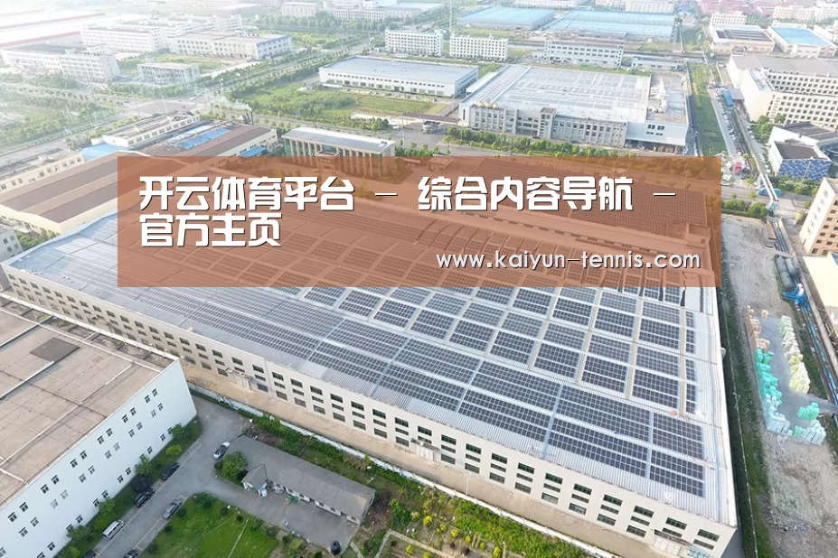 案例展示三