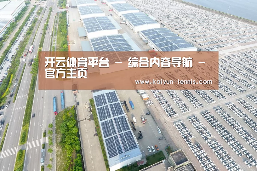 案例展示一