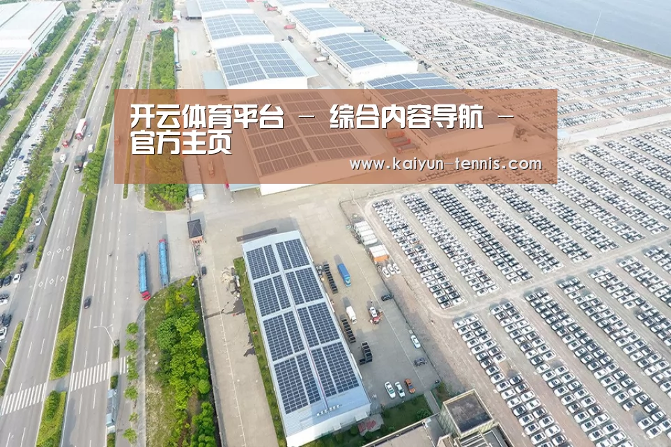 案例展示四