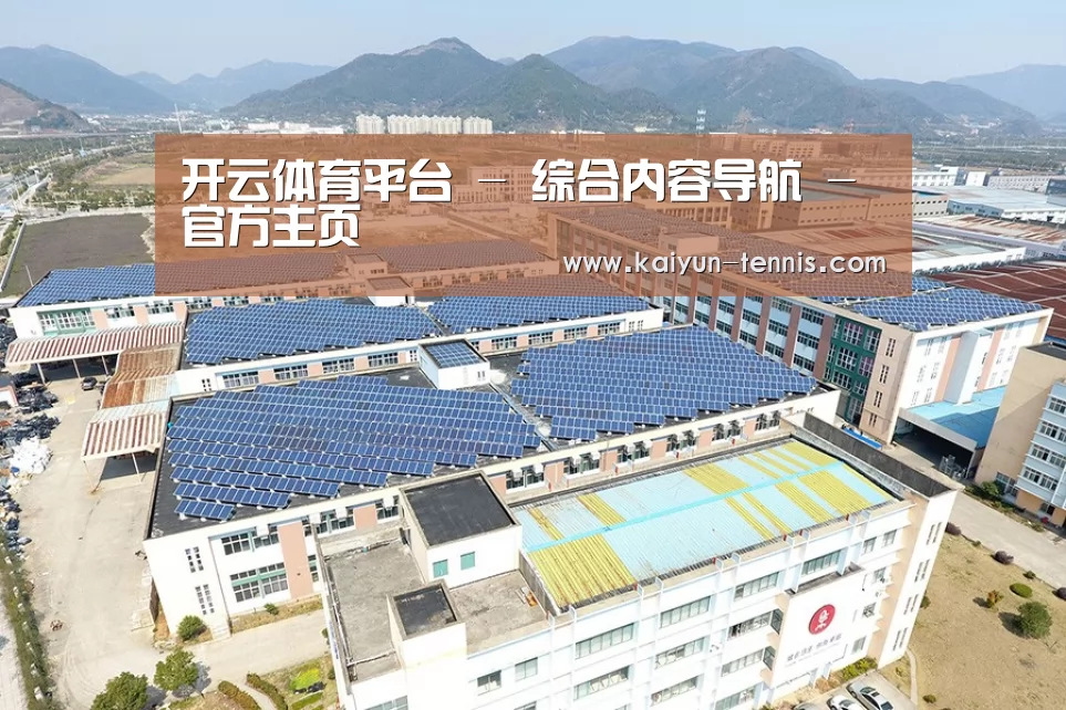 案例展示三