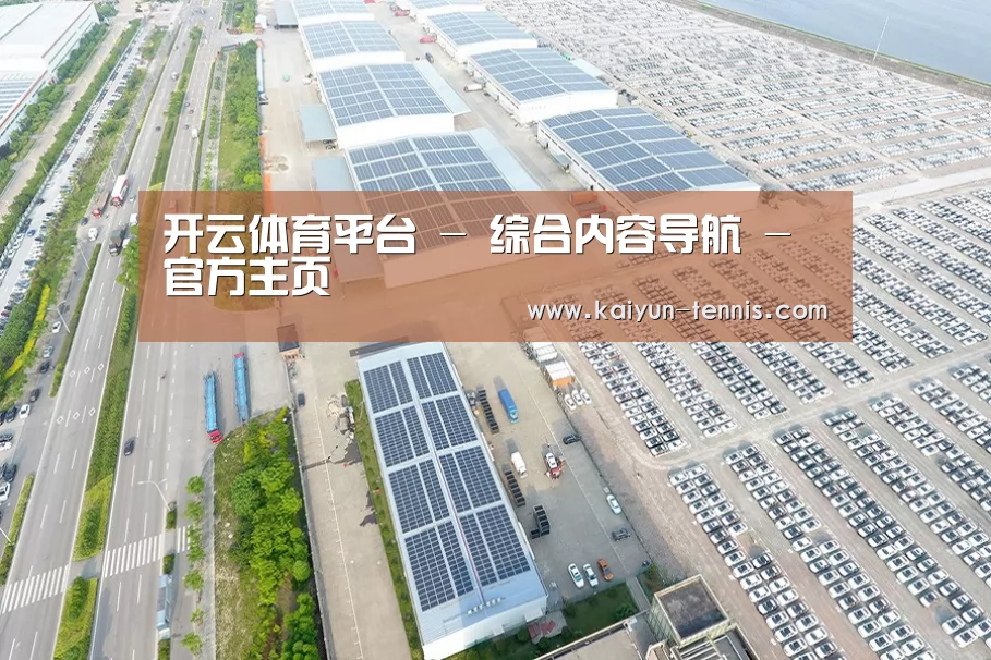 案例展示三