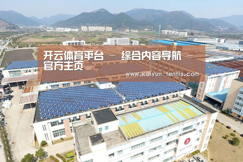 案例展示三