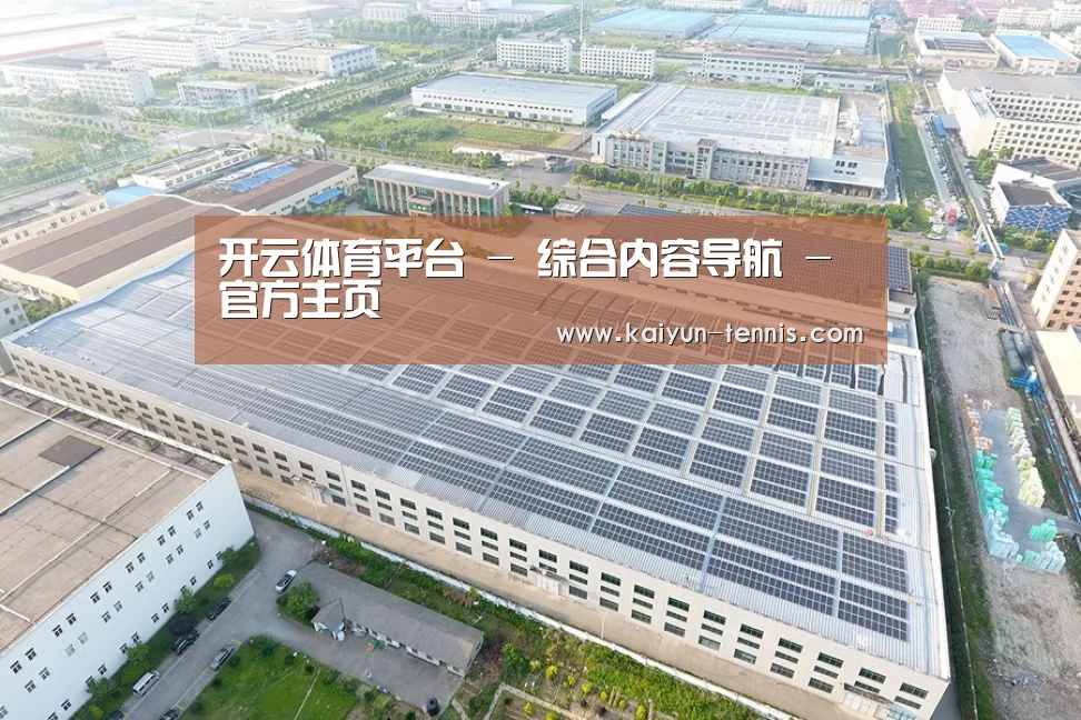 案例展示四